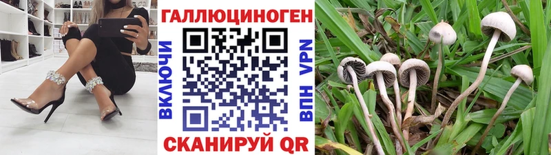 как найти наркотики  Муром  ОМГ ОМГ онион  Псилоцибиновые грибы ЛСД 